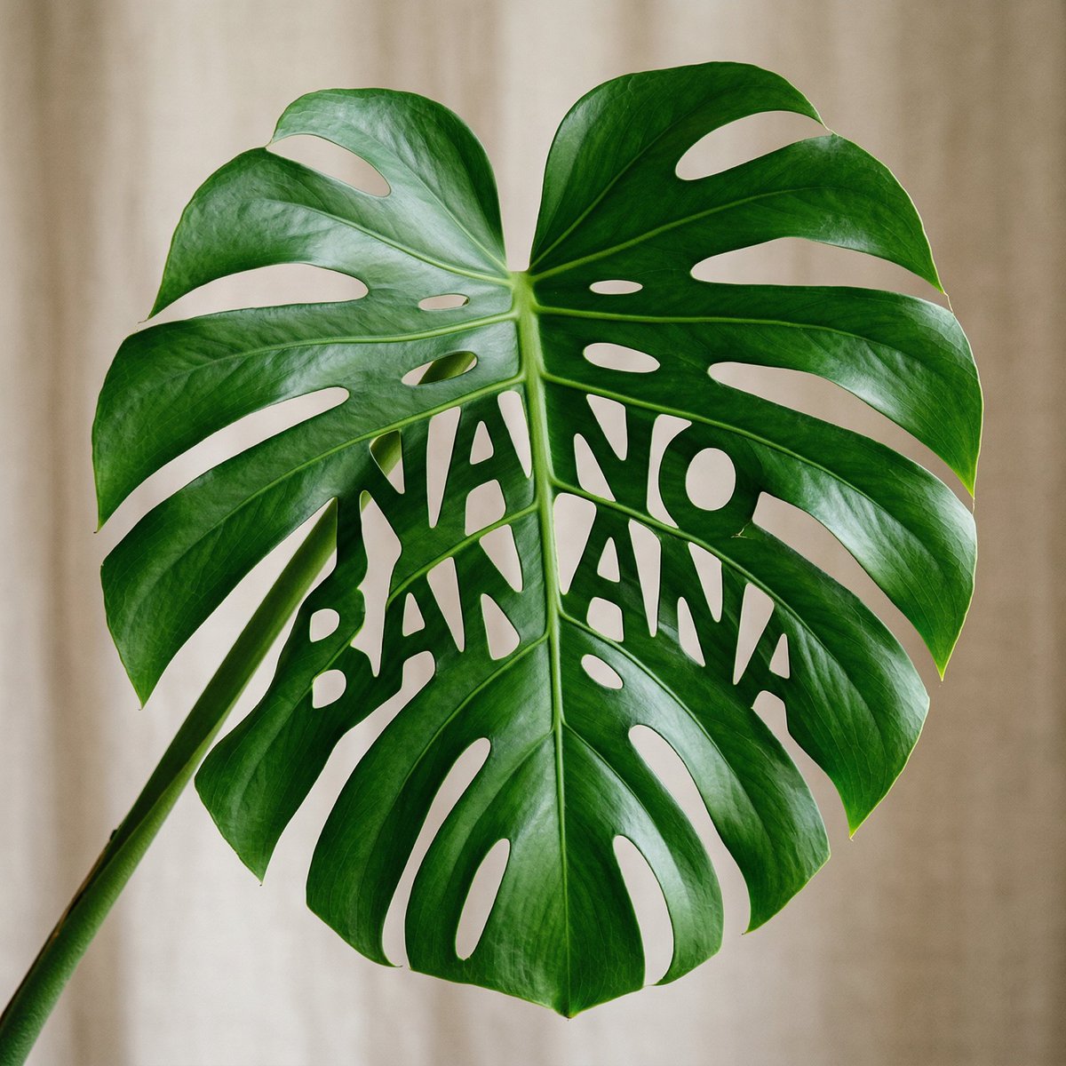Monstera Leaf Logo Design — example 2