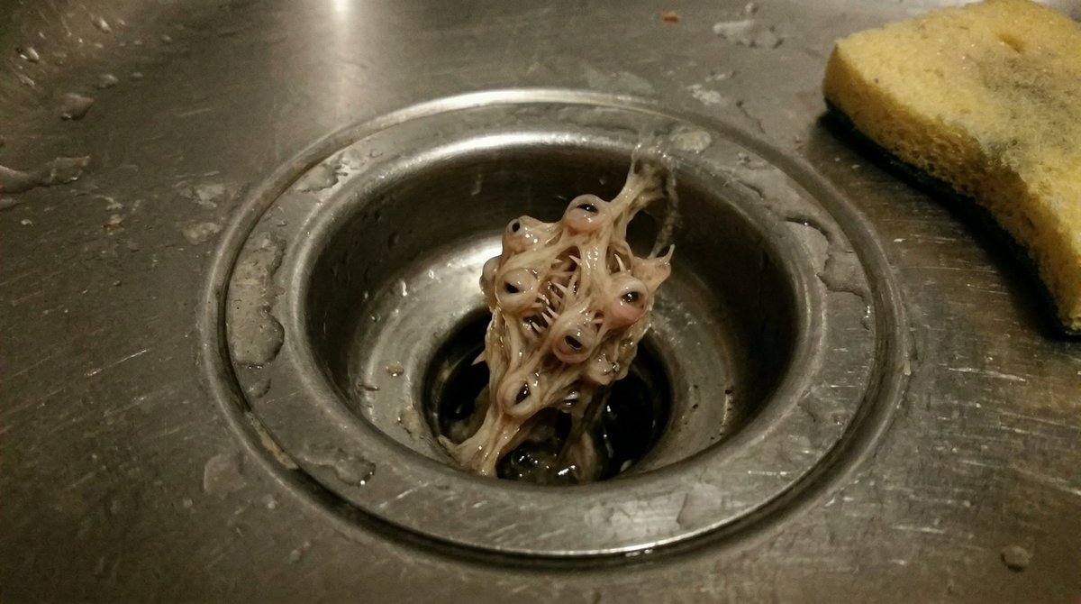 Oddly Terrifying Everyday Photo Prompt — example 4