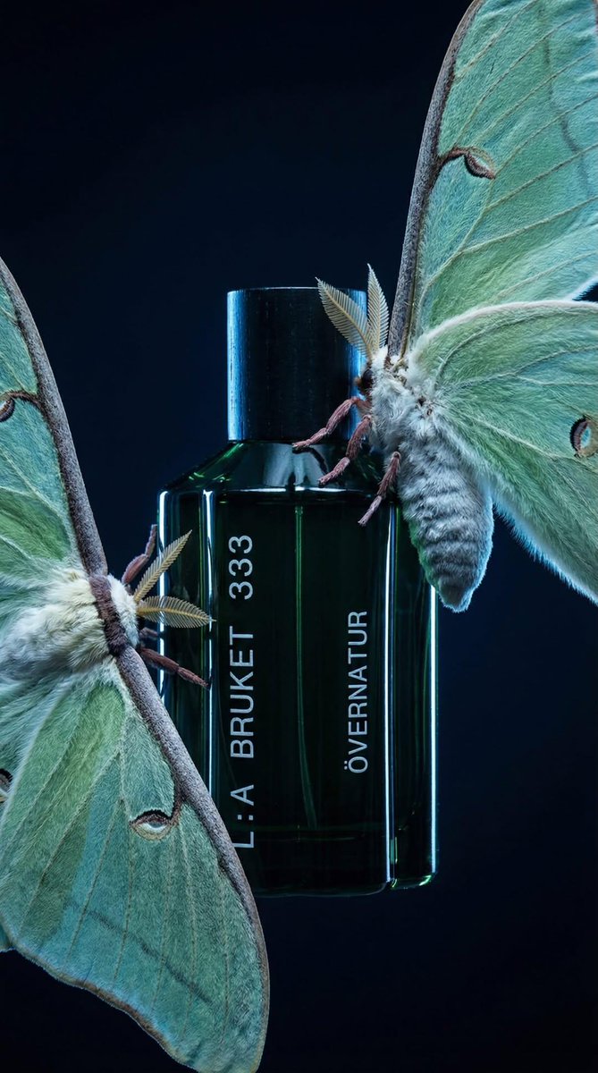 Luxury Perfume Bottle in Mystical Forest Product Shot