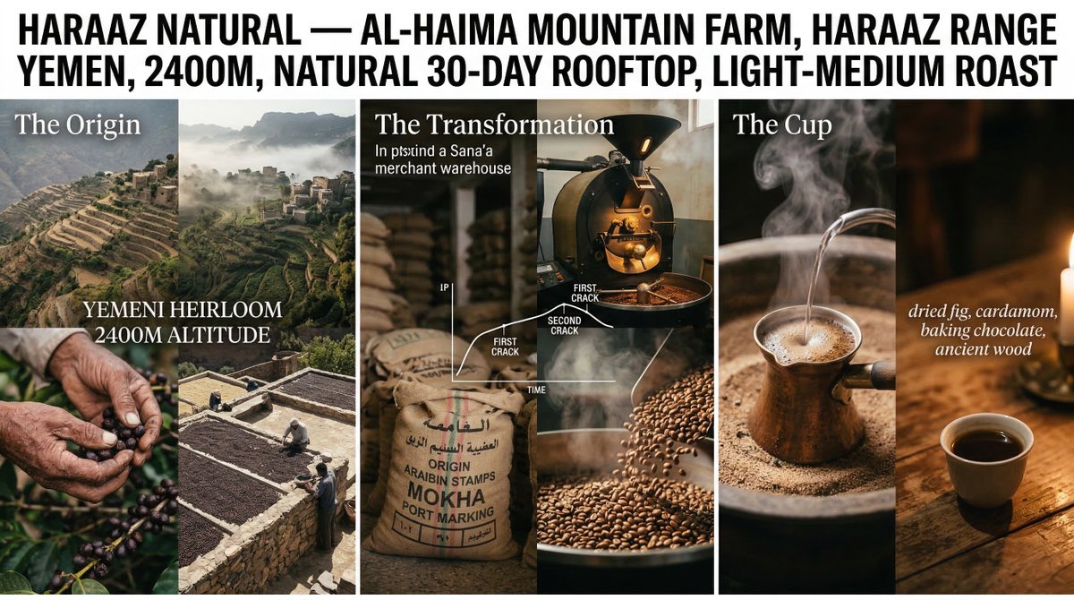 Coffee's Journey Board prompt for Nano Banana 2 — example 4