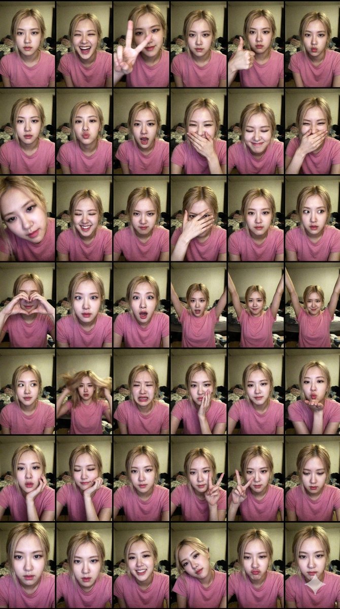 Extreme Lo-Fi Webcam Contact Sheet (Rosé Blackpink) — example 1