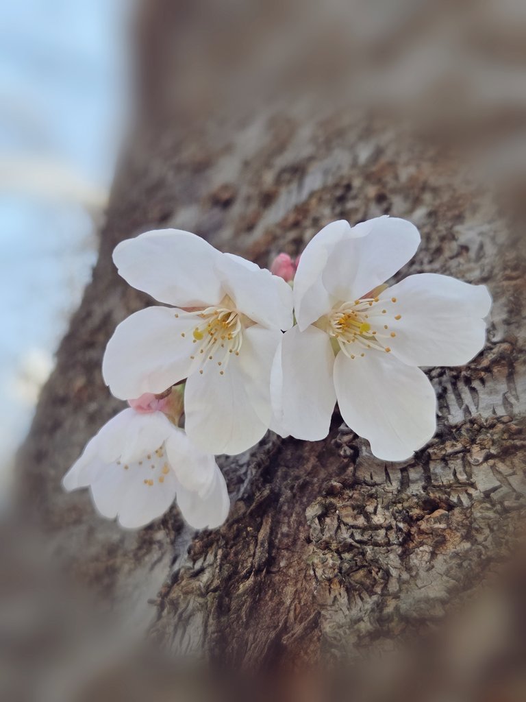 Found a Small Spring — example 1