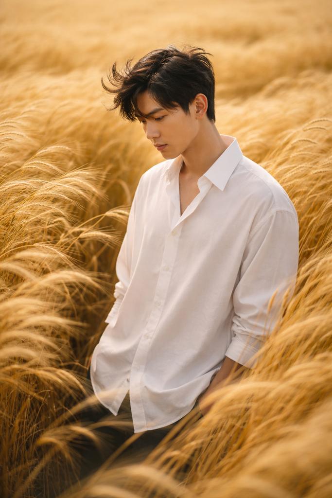 Vogue-Level Editorial Portrait in a Wheat Field — example 2
