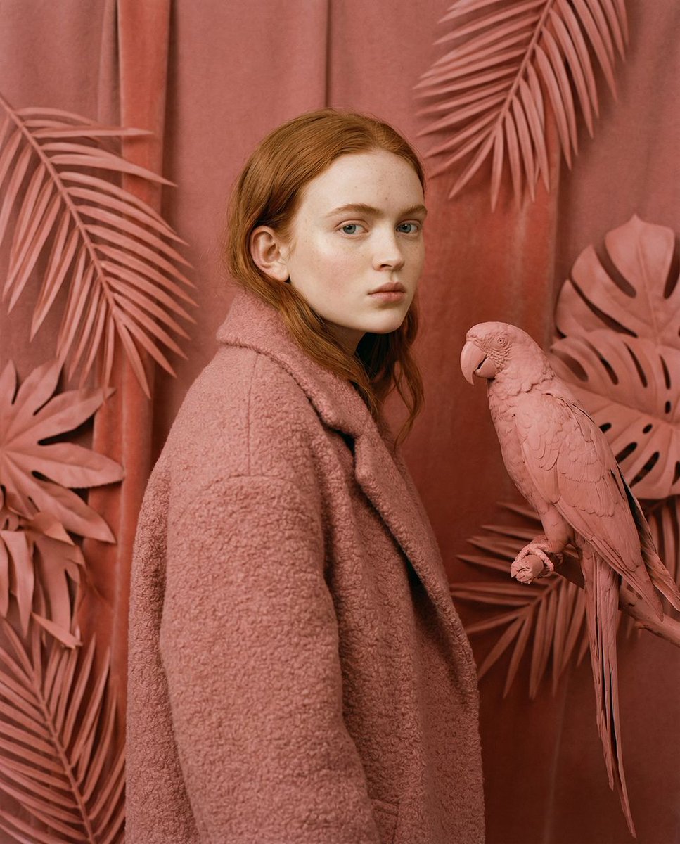 Avant-Garde Editorial Velvet Portrait — example 1