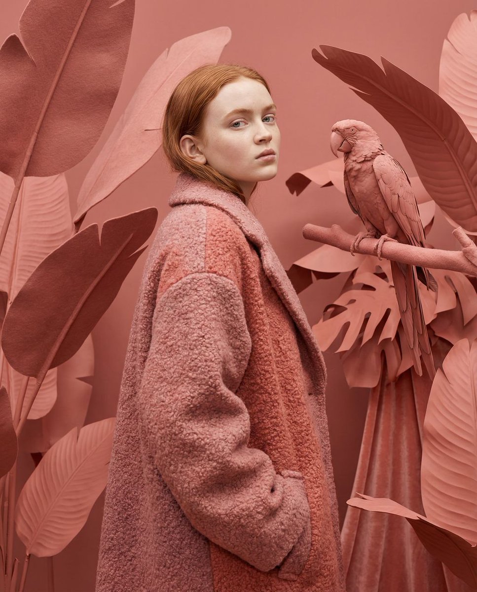 Avant-Garde Editorial Velvet Portrait — example 2