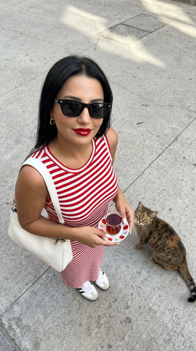 Urban Fashion with Istanbul Cat