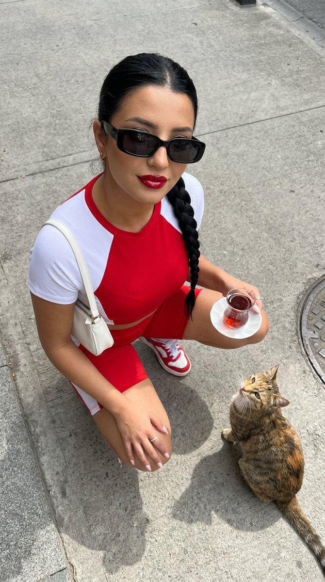 Urban Fashion with Istanbul Cat — example 2