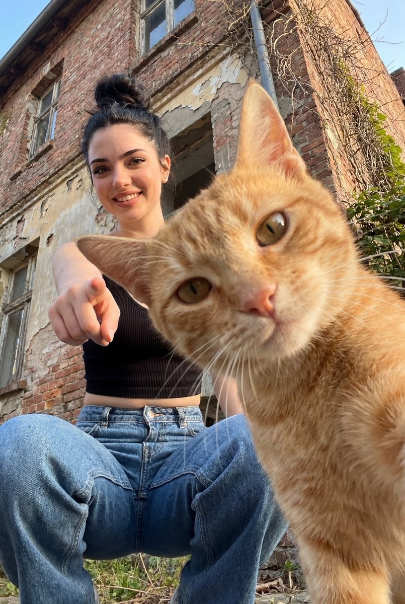 Worm's-Eye Urban Portrait with Cat — example 1