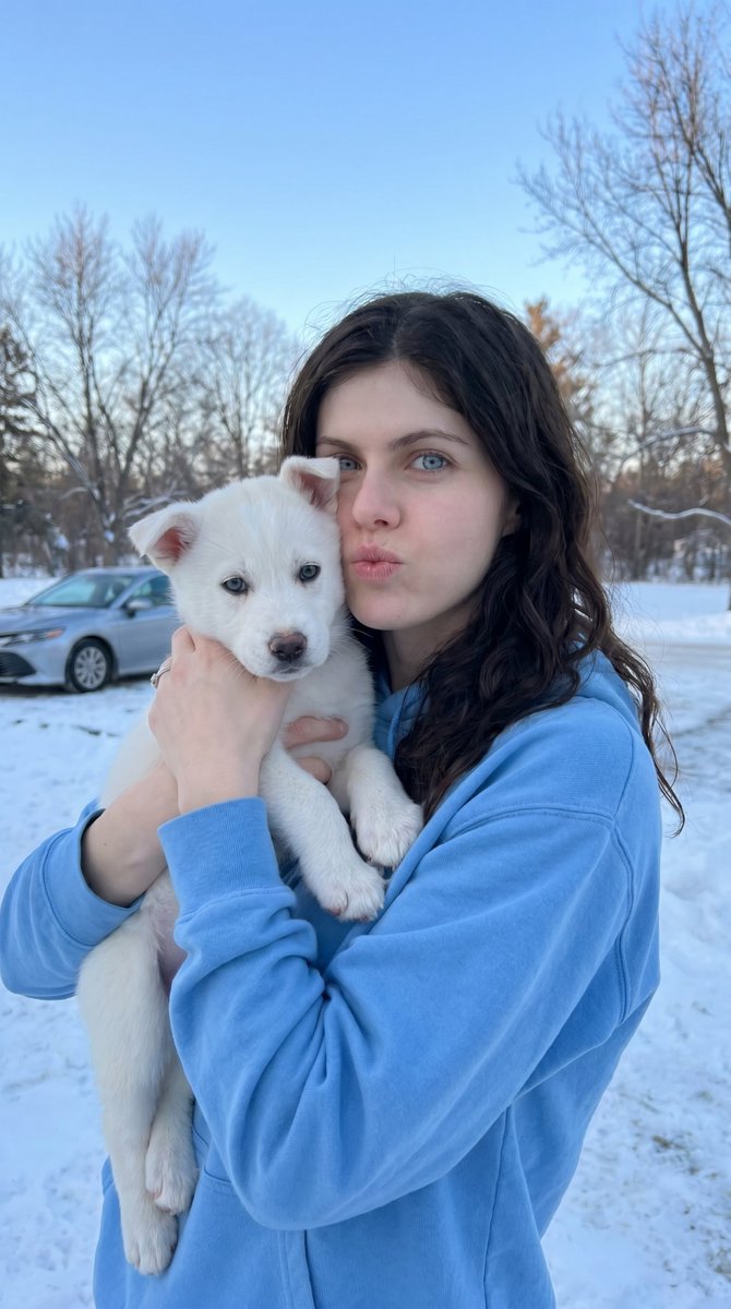Playful Winter Puppy Portrait — example 2
