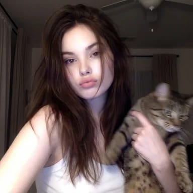 Low-Fi Candid Night Snapshot with Cat — example 1