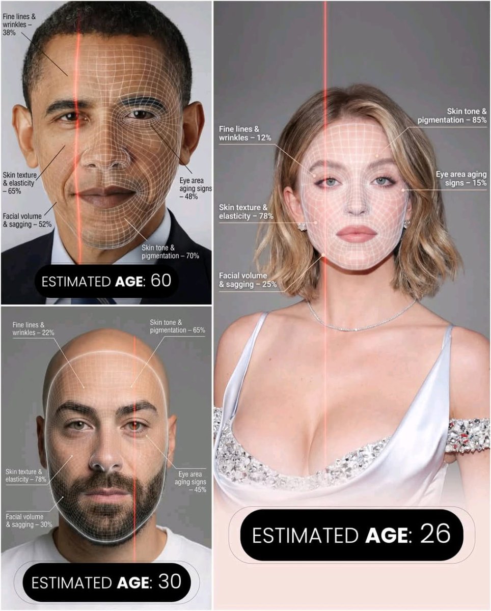Futuristic AI Age Checker Infographic Portrait — example 1