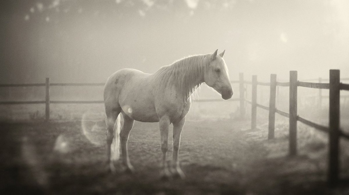 Monochromatic Ivory Cinematic Portrait — example 3