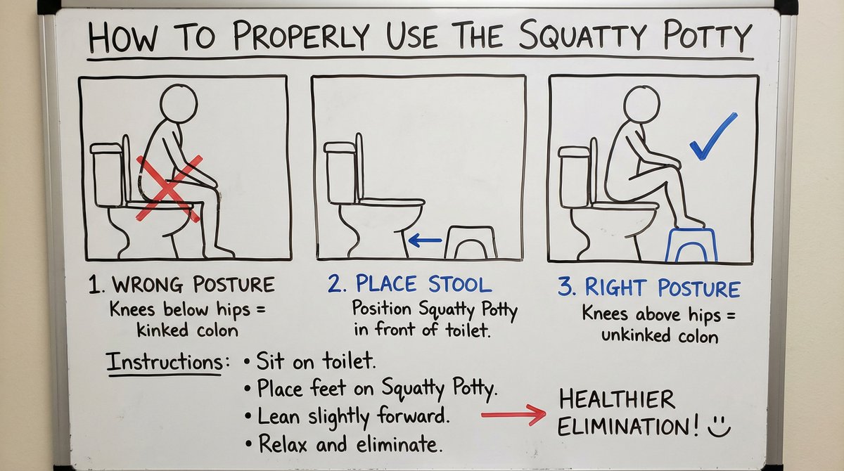 Squatty Potty whiteboard instructions — example 1