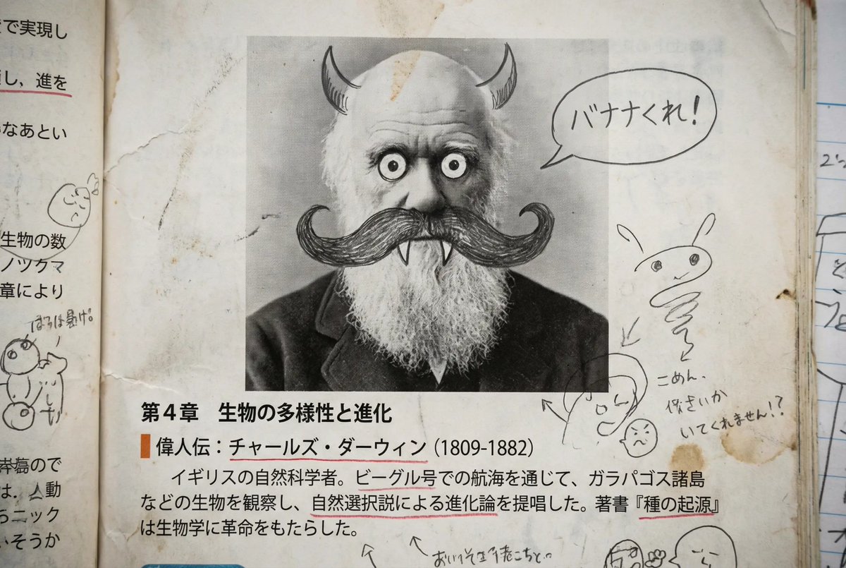 Middle schooler doodles on history textbook pages — example 1