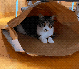 NES BG Dot Art Conversion Prompt — example 1