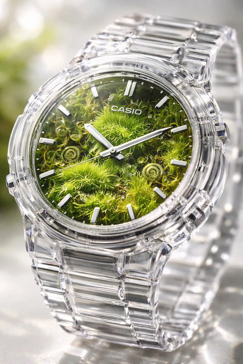 Crystal Terrarium Watch Product Shot — example 2