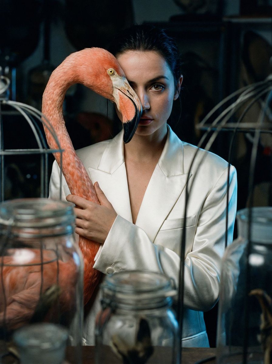 Surrealist Ornithology fashion editorial prompt — example 1
