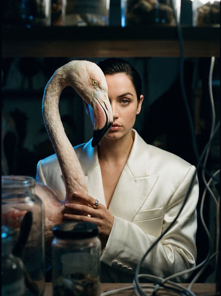 Surrealist Ornithology fashion editorial prompt — example 2