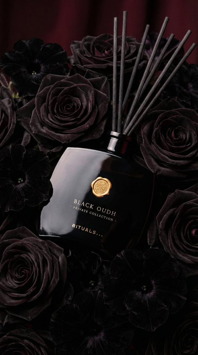 Luxury Product Photography: Black Oudh Diffuser — example 4