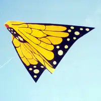 Image Enhancement and Colorization Prompt — example 2